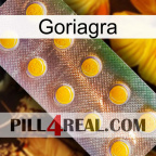 Goriagra new11